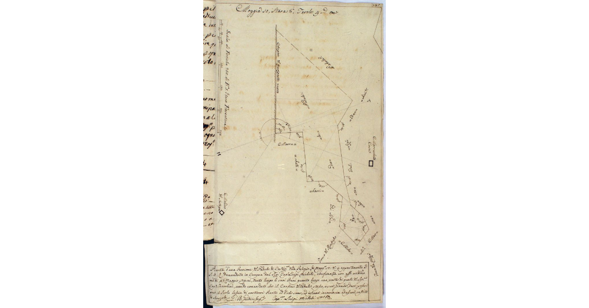 Pianta d'una Porzione del Padule di Castiglione della Pescaia, di moggia 10.8.4 appartenente a S.A.R. domandata in Compra dal Sig. Cap. Luigi Micheli, confinata con esso medesimo nel dì 27 maggio 1796, tanto lungo li suoi Beni quanto lungo una parte di quelli del Sig. Cap. Franchini, avendo concordato che il Confine del Padule stesso, e sue Gronde, deve passare ove il suolo lascia contenere Piante ed Erbe sane, ed insieme incomincia ad essere vestita di Scorzolo