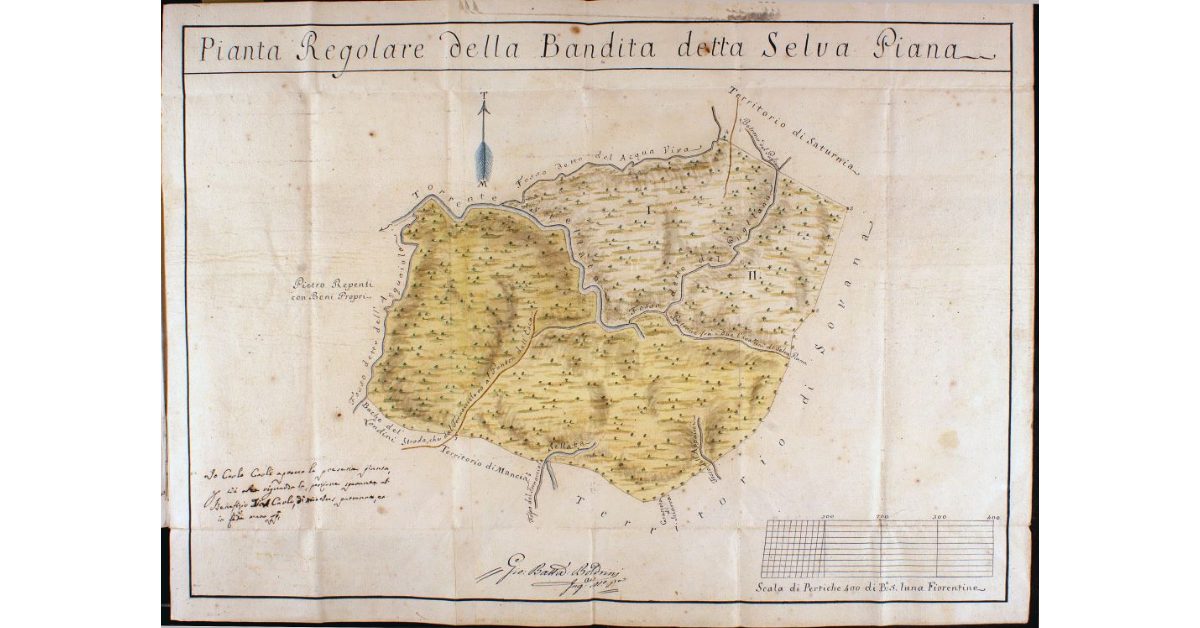 Pianta Regolare della Bandita detta Selva Piana