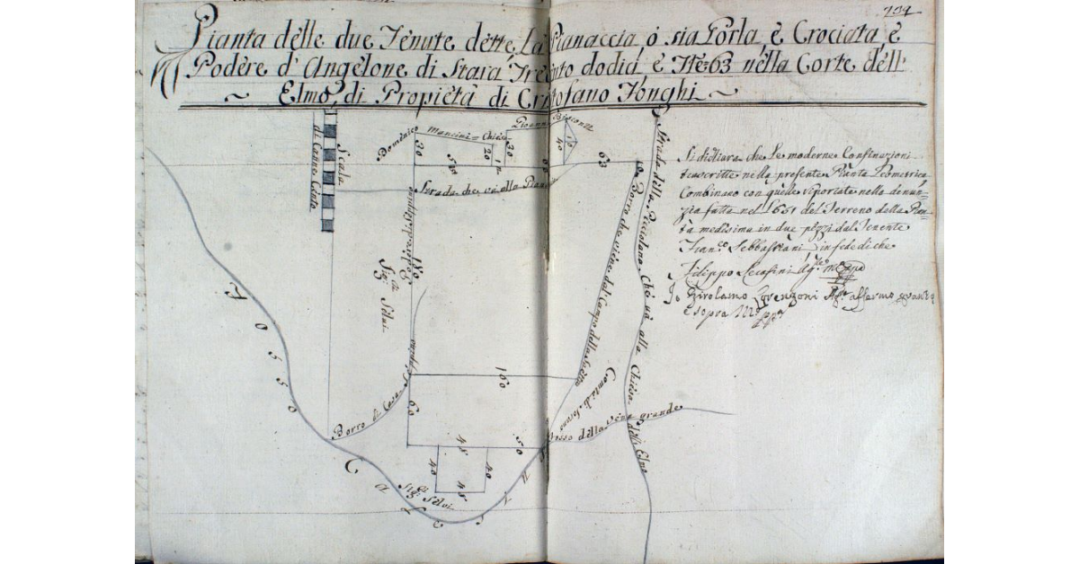 Pianta delle due Tenute dette, La Pianaccia, o sia Porla, e Crociata, e Podere d'Angelone di stara Trecento Dodici e Tavole 63 nella Corte dell'Elmo, di Proprietà di Cristofano Fonghi