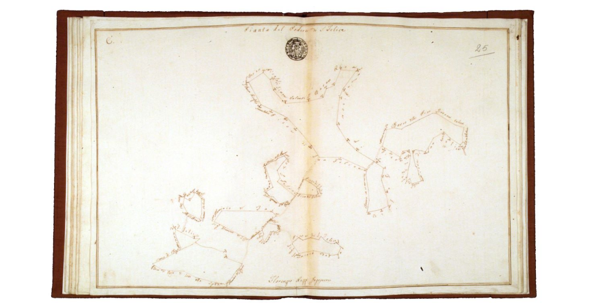 Pianta del Podere di S. Felice