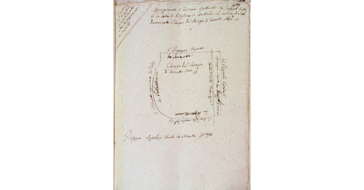 Appezzamento di terreno spettante a Giuseppe Busatti in corte di Pitigliano in Contrada la Collina di Sotto denominato il Campo del Saragio di tenuta staia 21