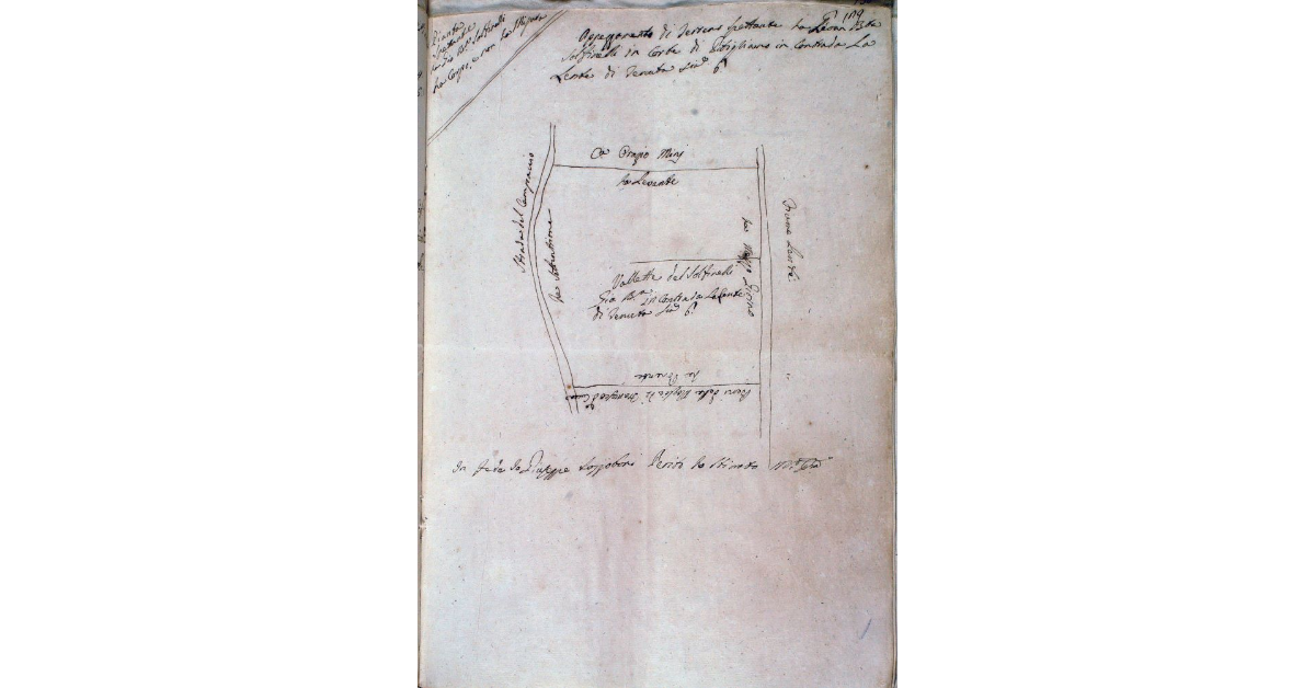 Appezzamento di terreno spettante a Giovan Battista Solfinelli in Corte di Pitigliano in Contrada La Lente di tenuta staia 6