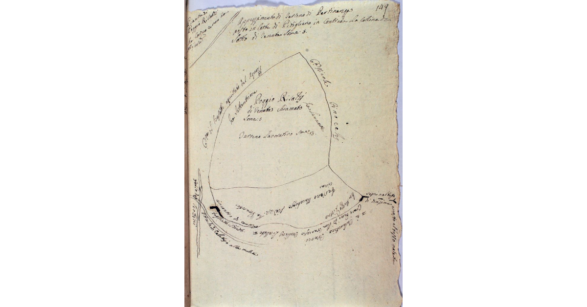 Appezzamento di terreno di Pertinenza posto in Corte di Pitigliano in Contrada La Collina di Sotto di tenuta some 5