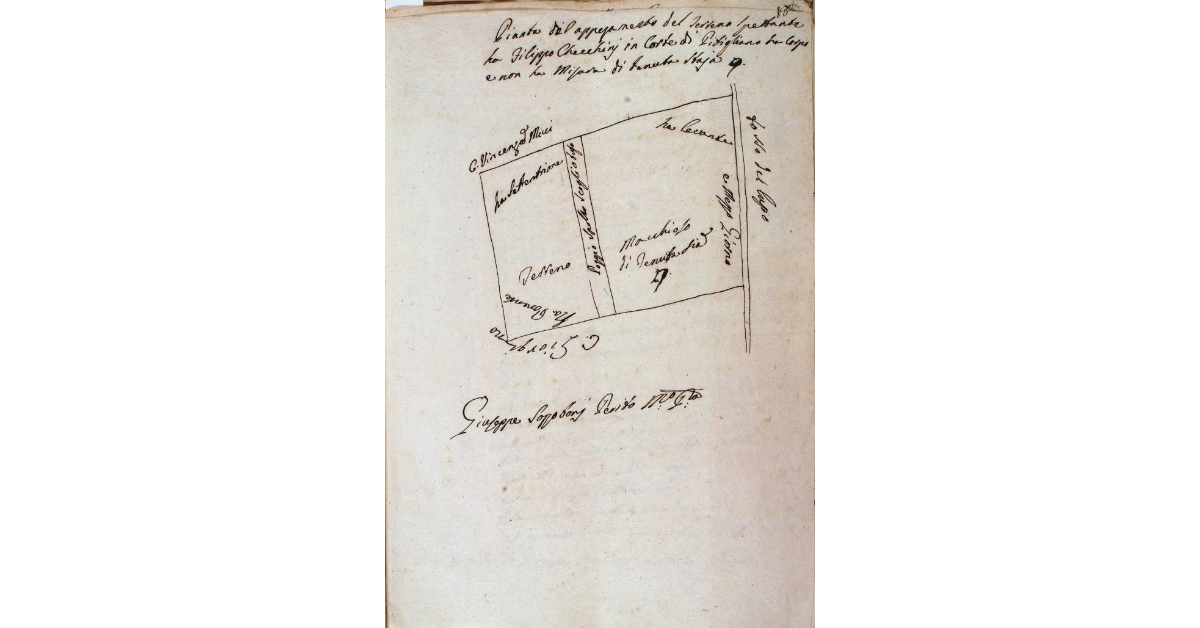 Pianta dell'appezzamento del terreno spettante a Filippo Checchini in Corte di Pitigliano a corpo e non a misura di tenuta staja 9