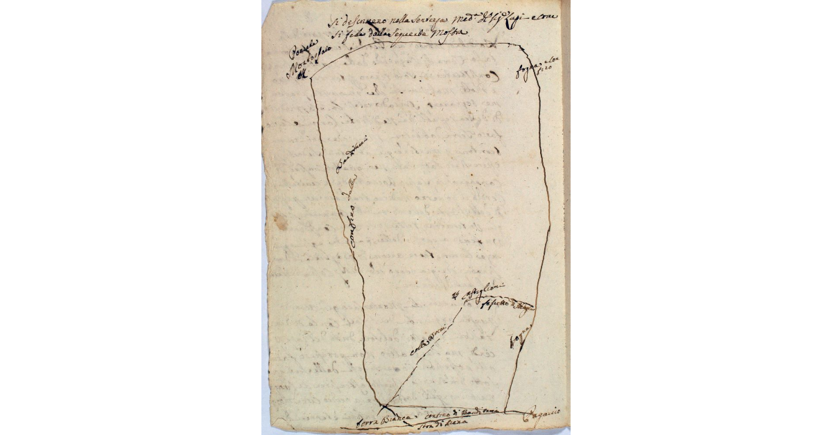 [Schizzo della Bandita dell'Orsali di Paganico]