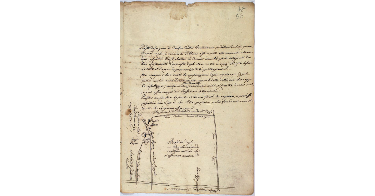 [Pianta della Bandita dell'Orzali di Paganico]