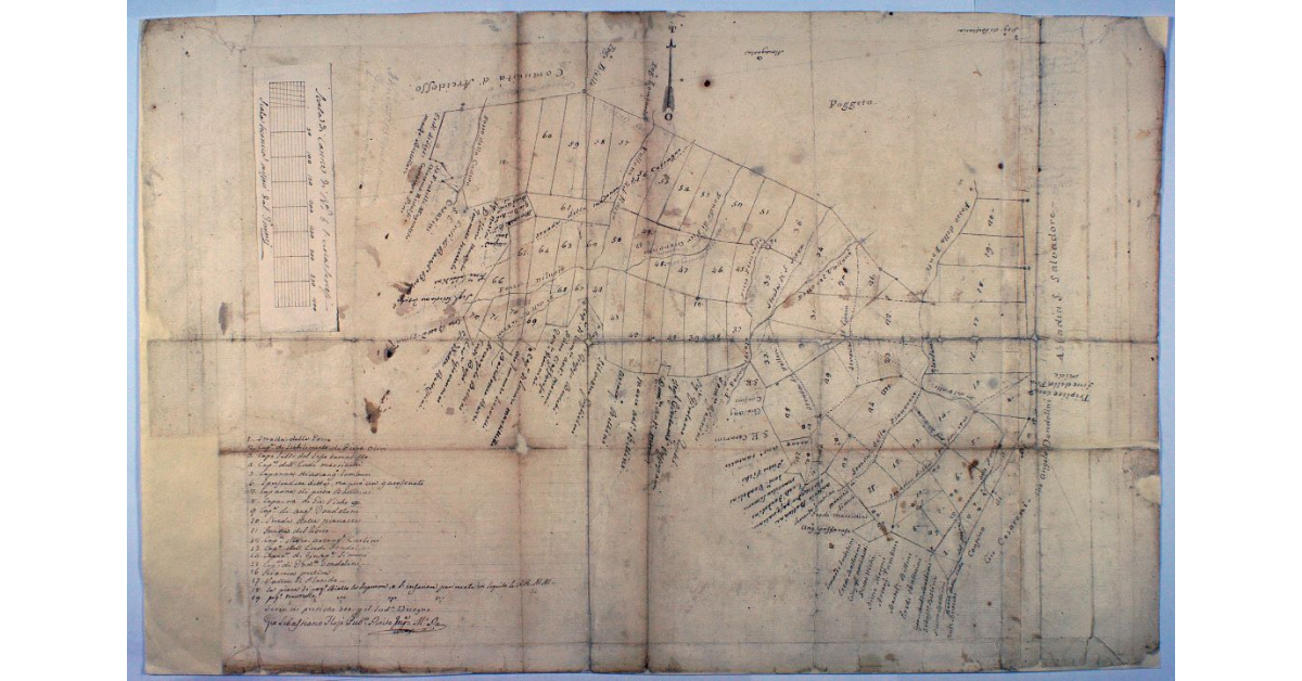 [Pianta della Bandita della Montagna di Santa Fiora con la suddivisione in preselle]