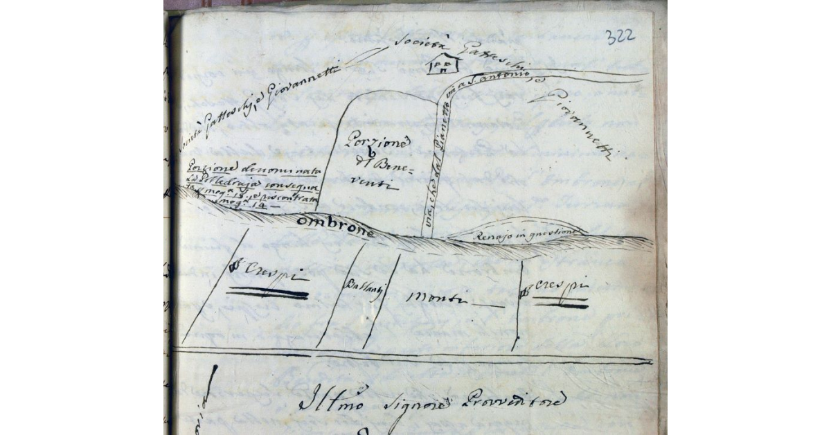 [Pianta dell'area lungo il corso del fiume Ombrone che comprende le porzioni della Bandita del Pianetto appartenenti alla società Gatteschi e Giovannetti e le proprietà del sig. Guglielmo Crespi, nel territorio di Campagnatico]