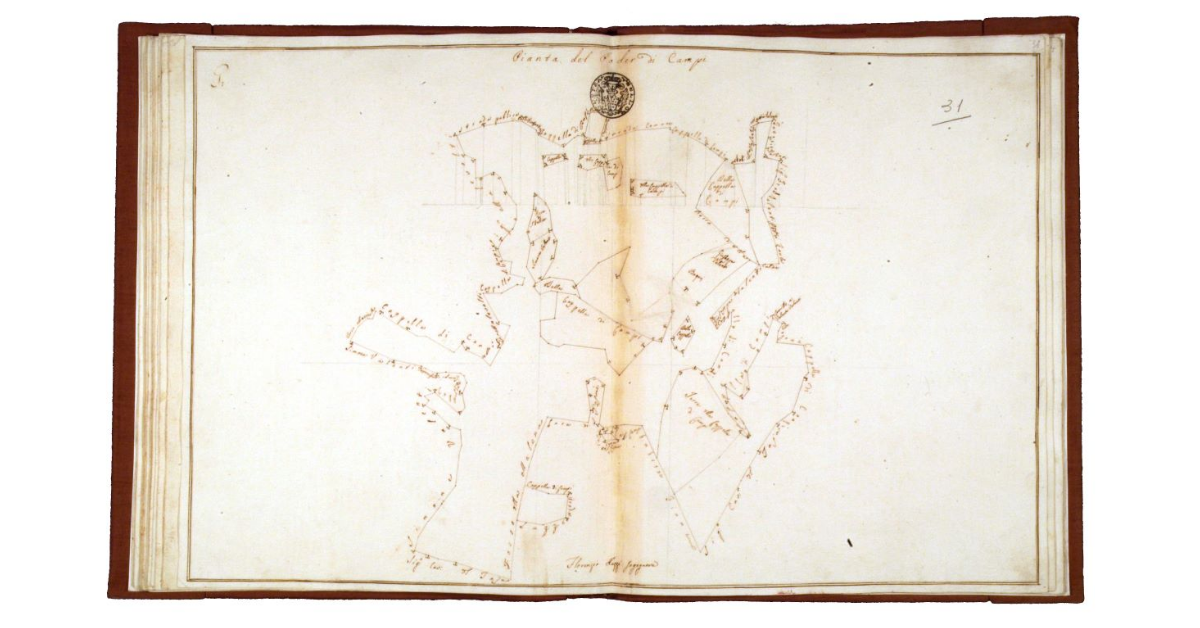 Pianta del podere di Campi