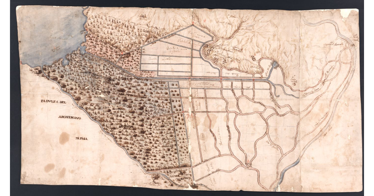 [Pianta di una parte della tenuta di Vecchiano adiacente al lago di Massaciuccoli]