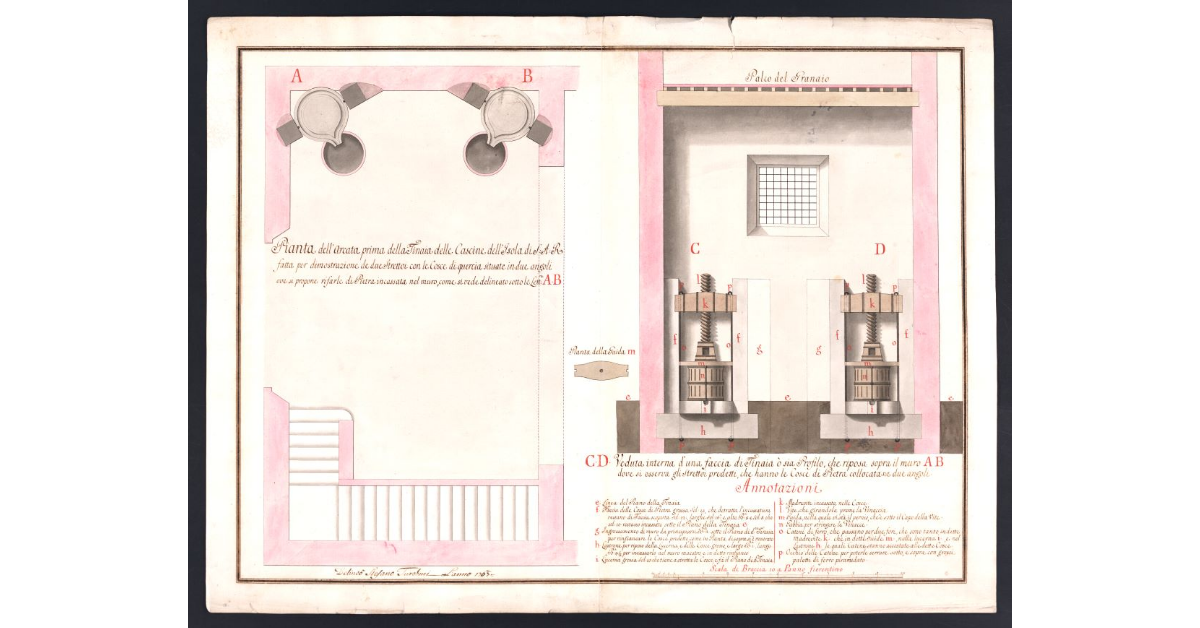 [Pianta della Tinaia con i suoi strettoi]
