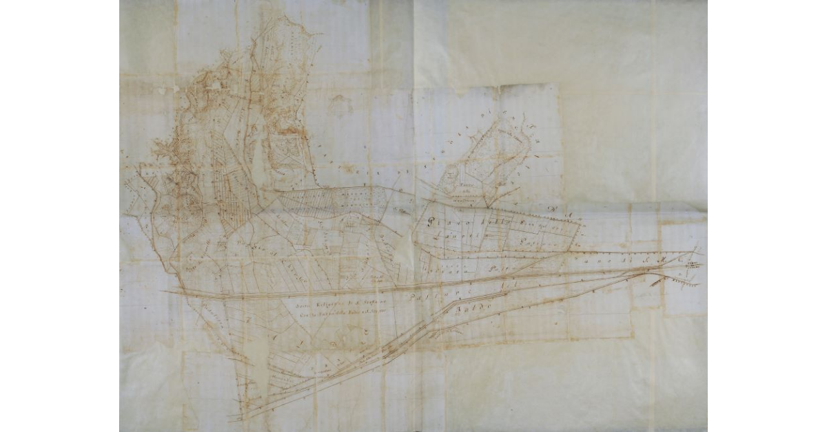 [Pianta della fattoria di Collesalvetti a confine con i beni Grifoni]