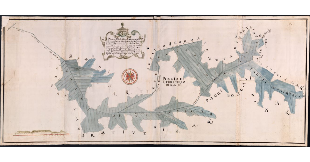 Pianta de Paduli di Vicarello, Guinceri e Chimerla posti nella Tenuta del Collesalvetti di S.A.R. con la dimostrazione delle Fosse necessarie per ridurli a Coltura