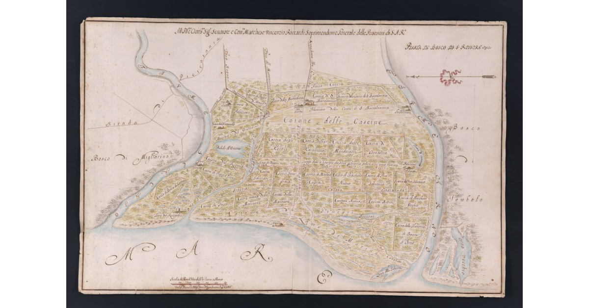 Pianta del Bosco di S. Rossore