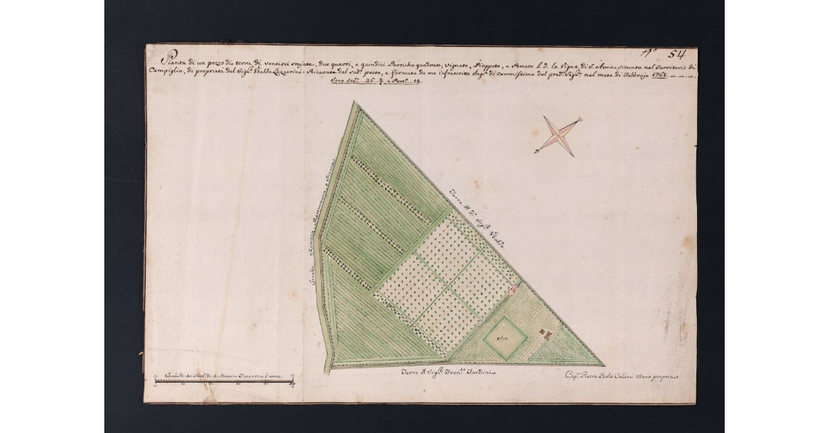 Pianta di un pezzo di terra di ventisei stajate, due quarti, e quindici Pertiche quadrate, Vignato, Pioppato e Pomato l. d. la Vigna di S. Anna, situata nel Territorio di Campiglia, di proprietà del sig. Ubaldo Lazzerini: Ricavata dal sud.o posto e formata da me infrascritto Ing.e di Commissione del pred. Sig.re nel mese di Febbraio 1761