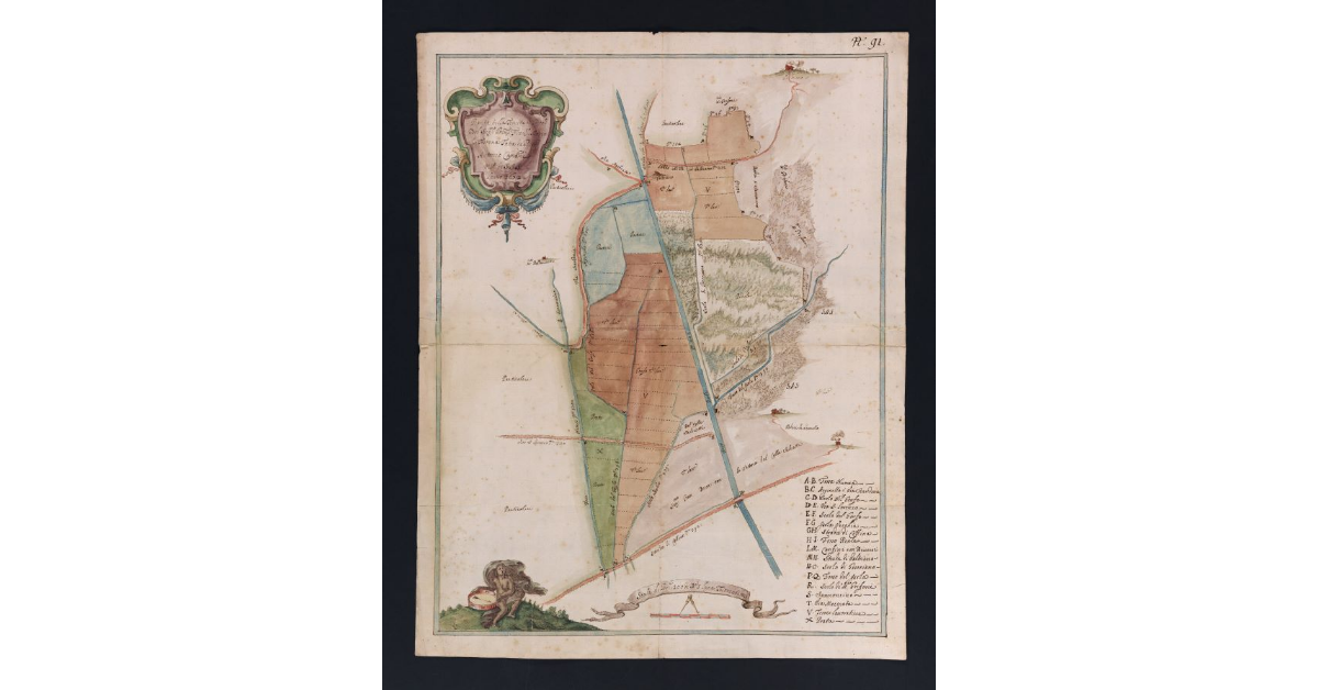 Pianta della tenuta di Grecciano del Serenissimo Principe Francesco Maria di Toscana [...]