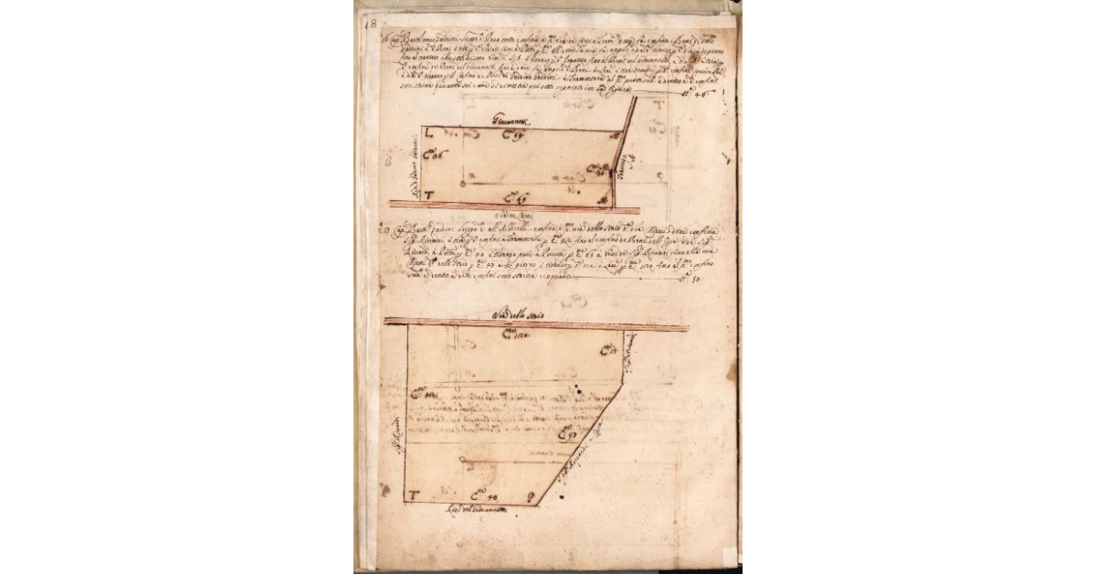 [Piante dei terreni assegnati al caporale Bartolomeo Gardini nel piano di Bibbona]