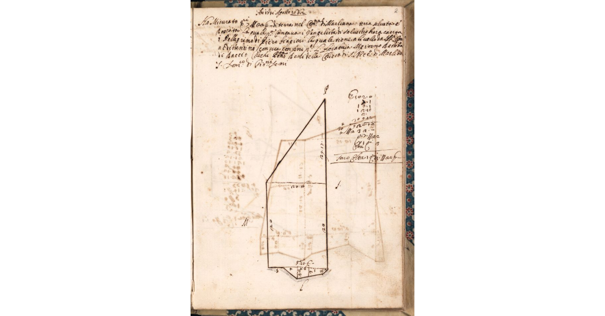 [Appezzamento di terreno tenuto a livello da Pellegrino Biagioni nella comunità di Marliana]