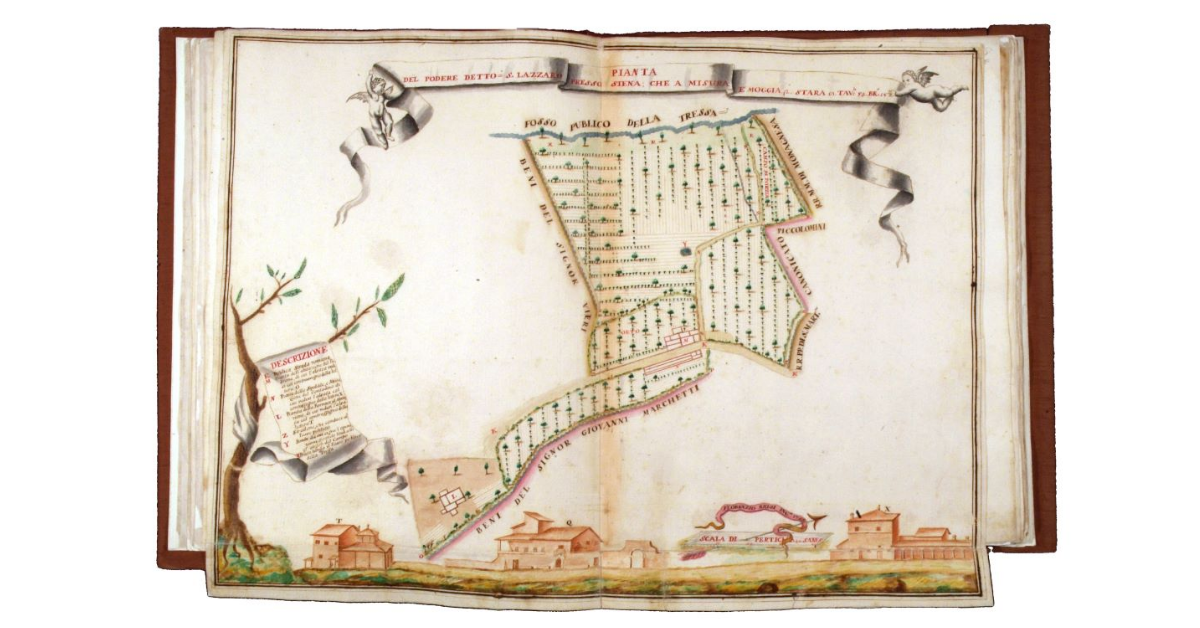 Pianta del podere detto San Lazzaro presso Siena