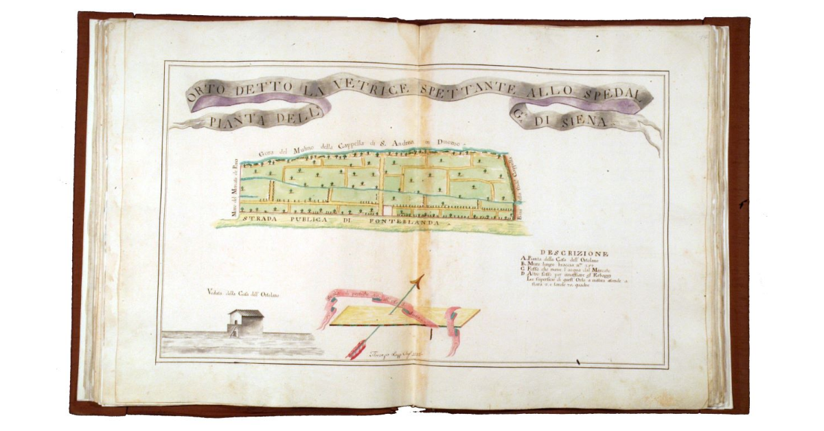 Pianta dell'orto detto la Vetrice spettante allo Spedal Grande di Siena