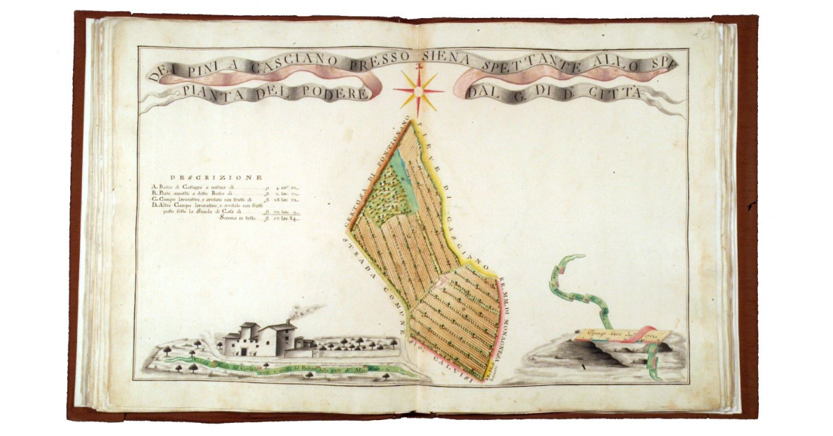 Pianta del podere dei Pini a Casciano presso Siena spettante allo Spedal Grande di detta città