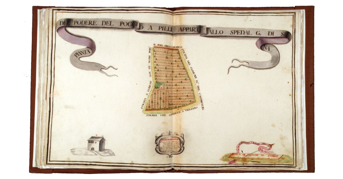 Pianta del podere Poggio a Pilli appartenente allo Spedal Grande di Siena