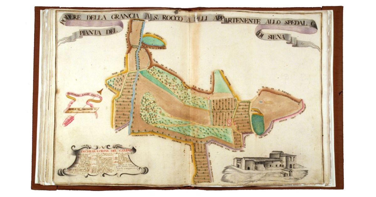 Pianta del podere della Grancia a S. Rocco a Pilli appartenente allo Spedal Grande di Siena