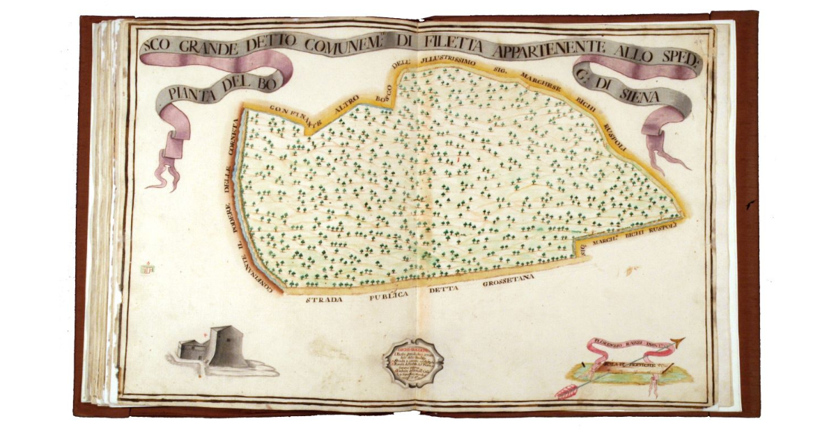 Pianta del Bosco Grande detto comunemente di Filetta appartenente allo Spedal Grande di Siena
