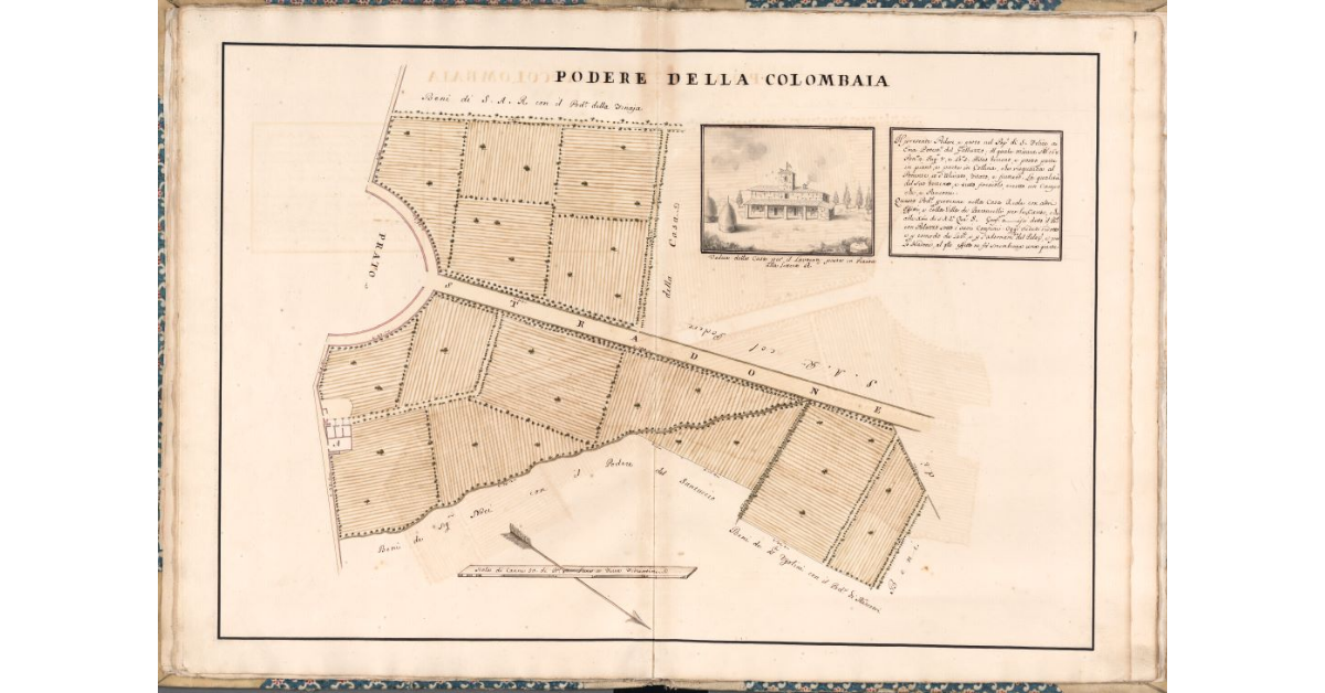 Podere della Colombaia