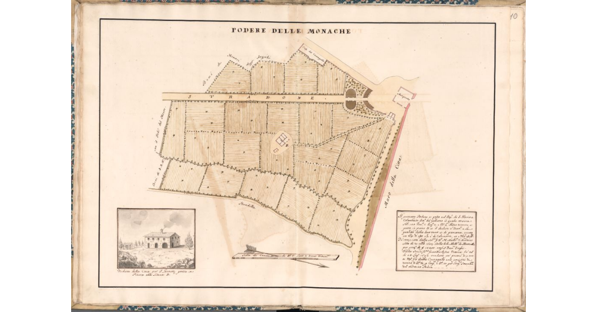 Podere delle Monache