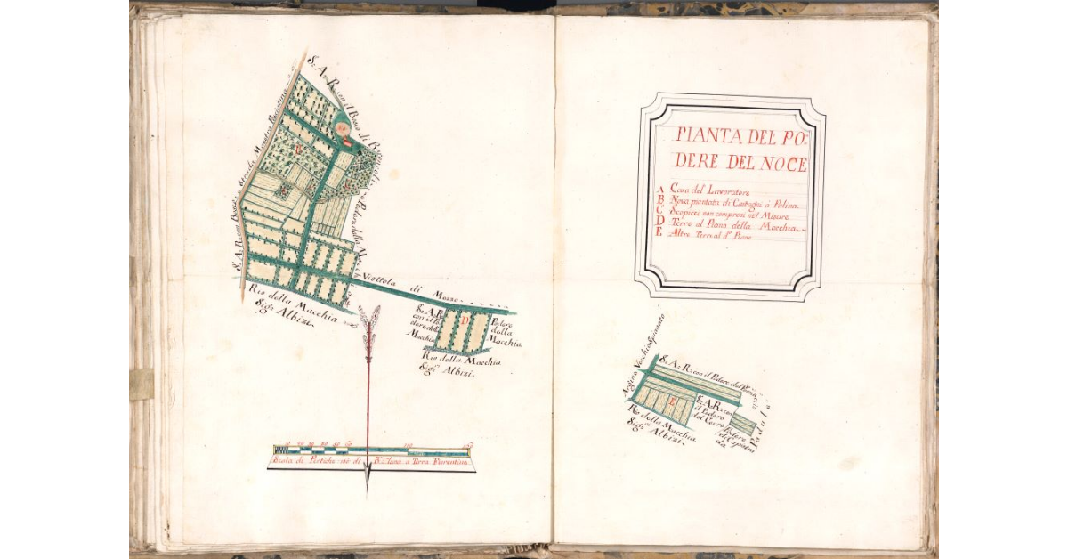 Pianta del podere del Noce