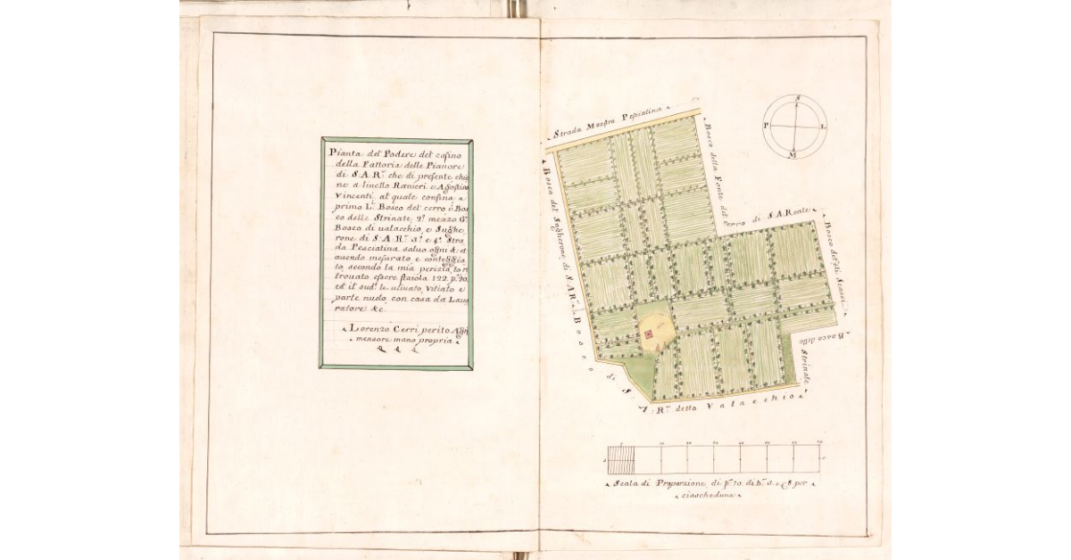 [Pianta del podere del Casino della fattoria delle Pianore di S.A.R.]