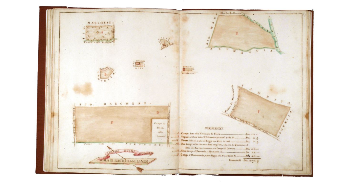 [Mappa di vari appezzamenti nei pressi di Grosseto]