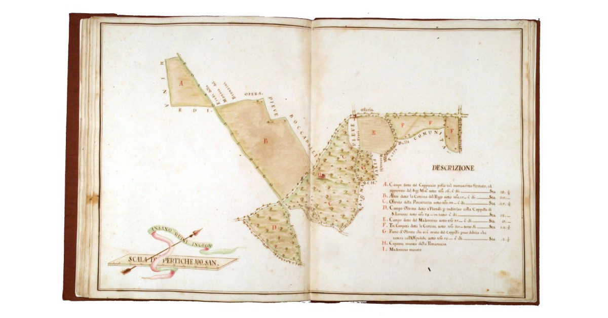 [Mappa raffigurante campi di varia natura e coltura]