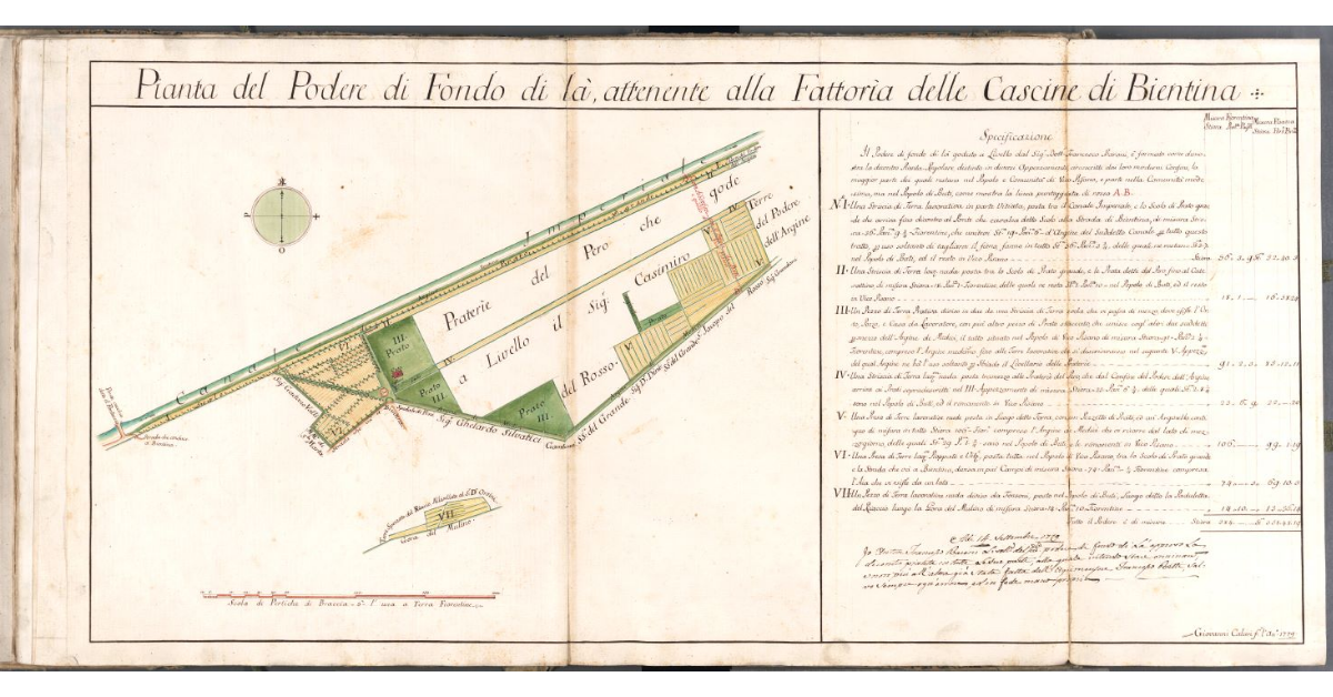 Pianta del Podere di Fondo di là, attenente alla Fattoria delle Cascine di Bientina