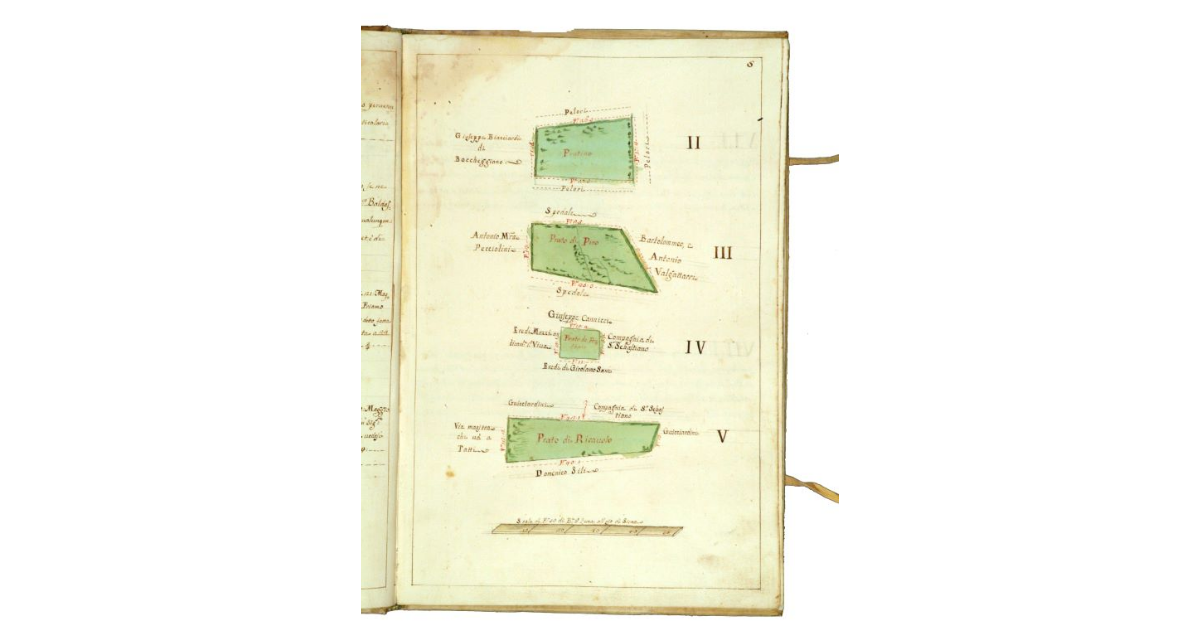 [Mappa raffigurante quattro campi prativi]