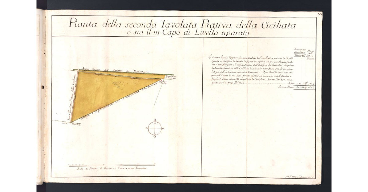 Pianta della seconda Tavolata Prativa della Ciciliata o sia il III Capo di Livello separato