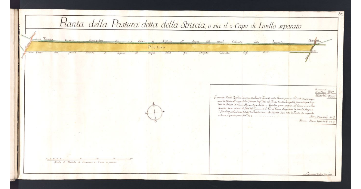 Pianta della Pastura detta della Striscia, o sia il X Capo di Livello separato