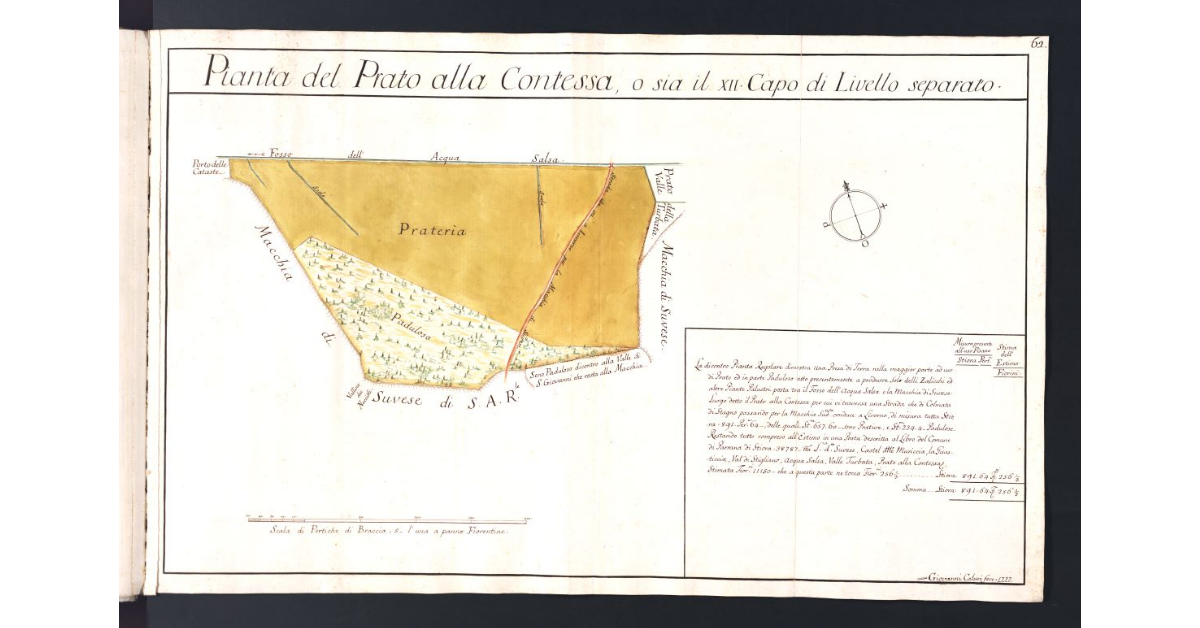 Pianta del Prato alla Contessa, o sia il XII Capo di Livello separato