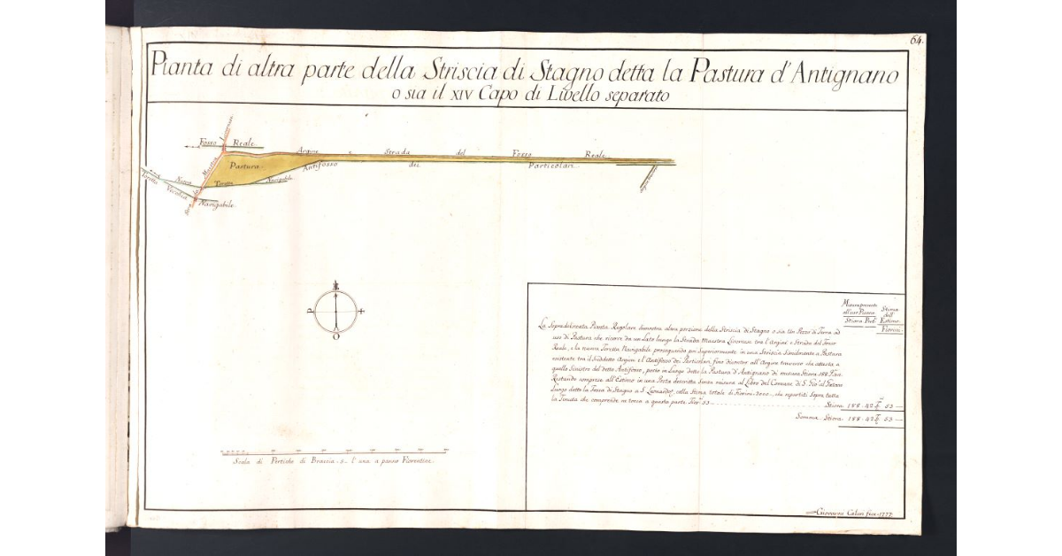 Pianta di altra parte della Striscia di Stagno detta la Pastura d'Antignano o sia il XIV Capo di Livello separato