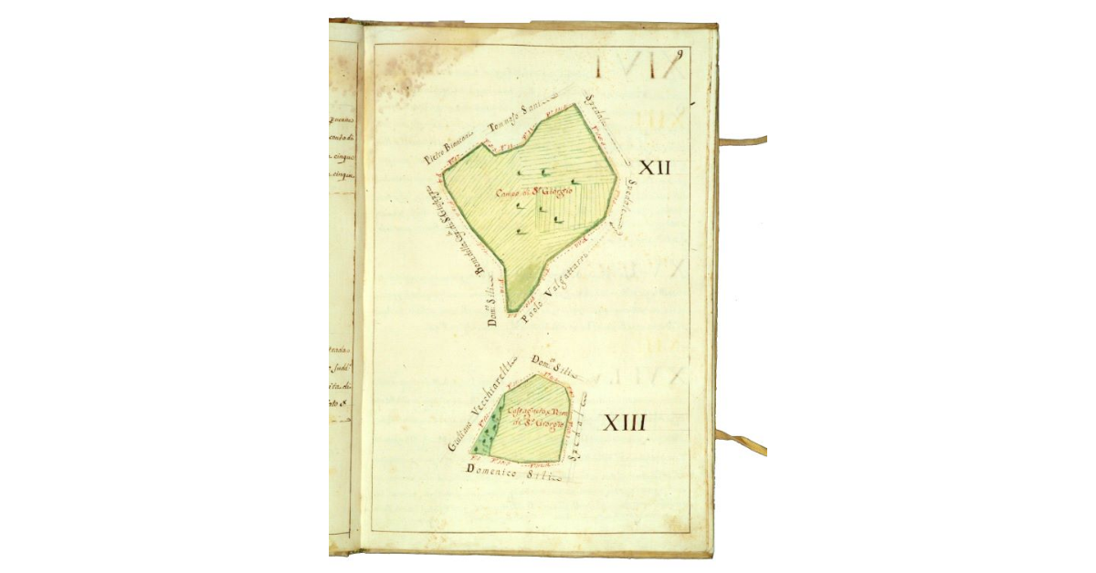 [Mappa raffigurante un campo prativo e un castagneto]