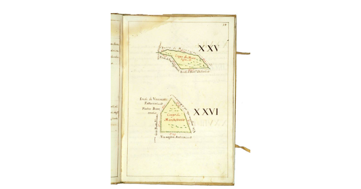 [Mappa del Campo di Muratesa e campo di Marchettaccio]