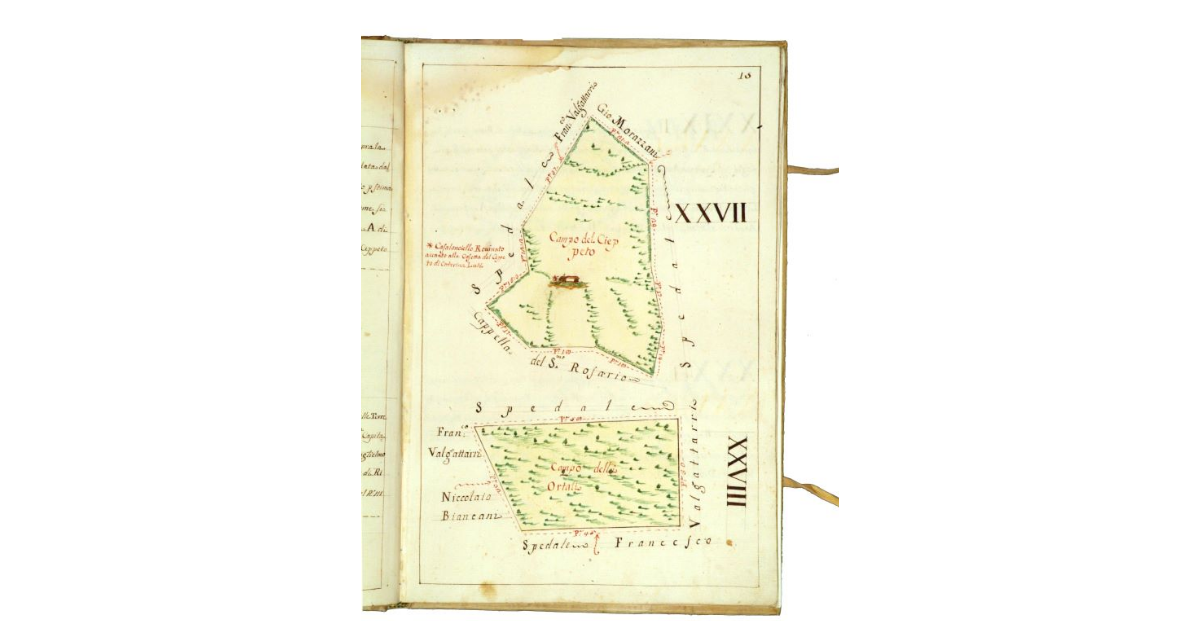 [Campo del Cieppeto e campo delle Ortali]