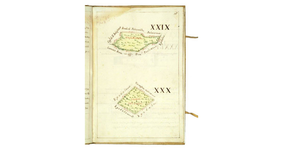 [Campo di Colle Cuccheri e Chiusa Mulinella]