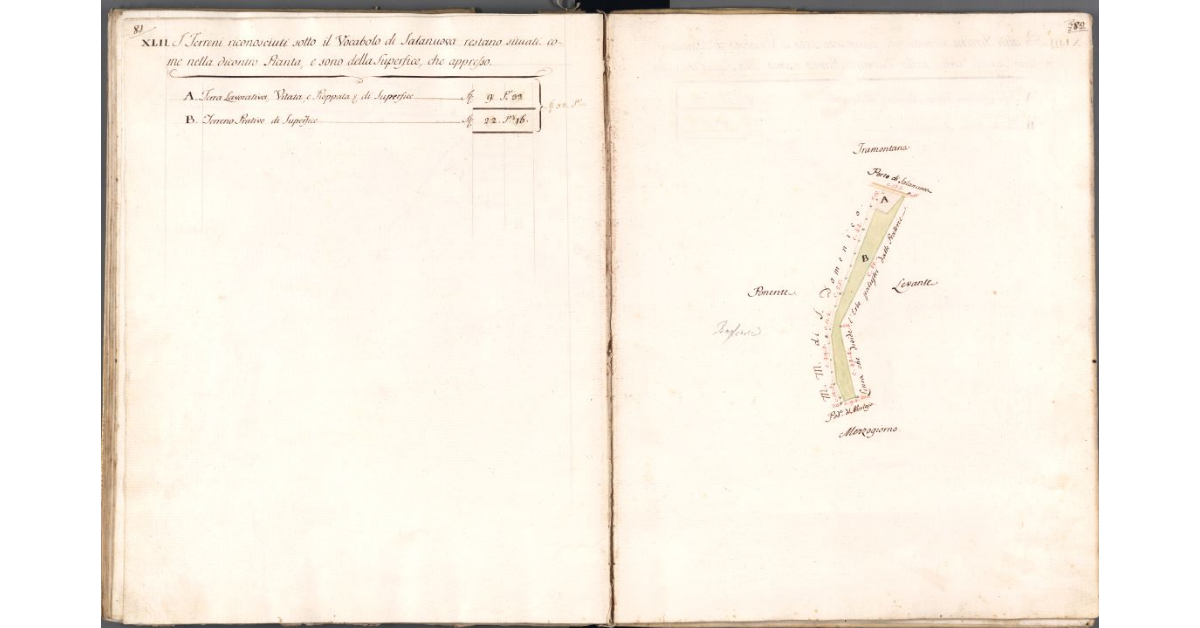 [Pianta dei terreni di Salanuova]