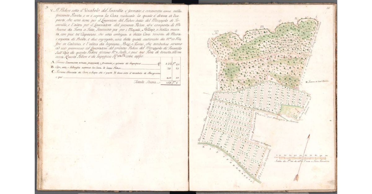 [Pianta del podere del Tosarello]