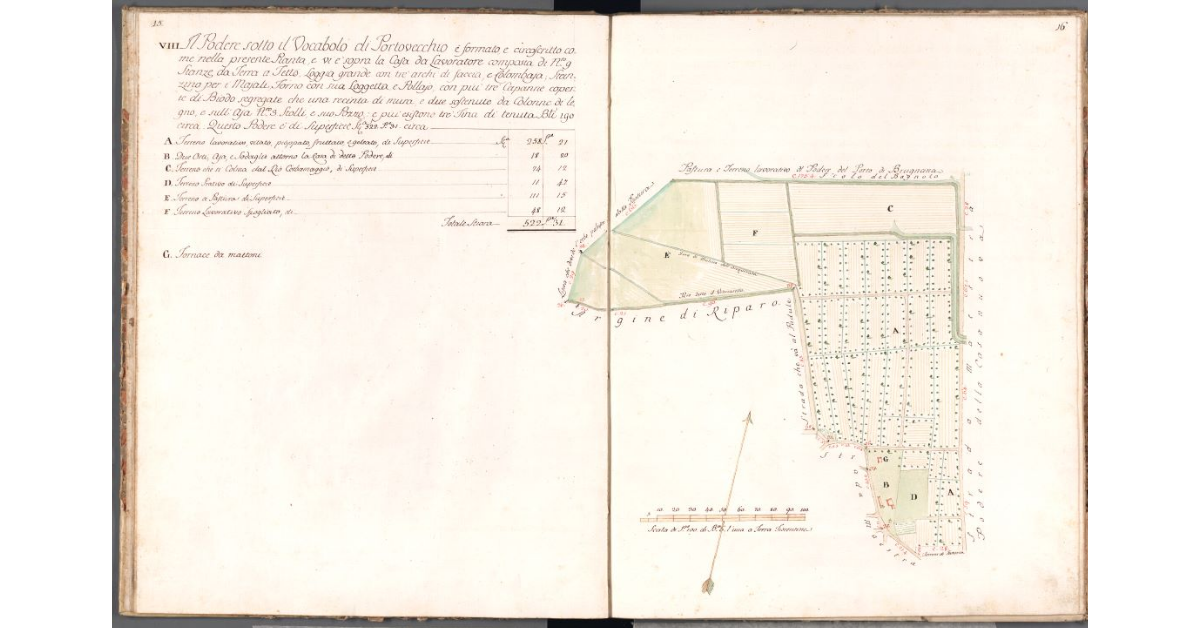 [Pianta del podere di Portovecchio]