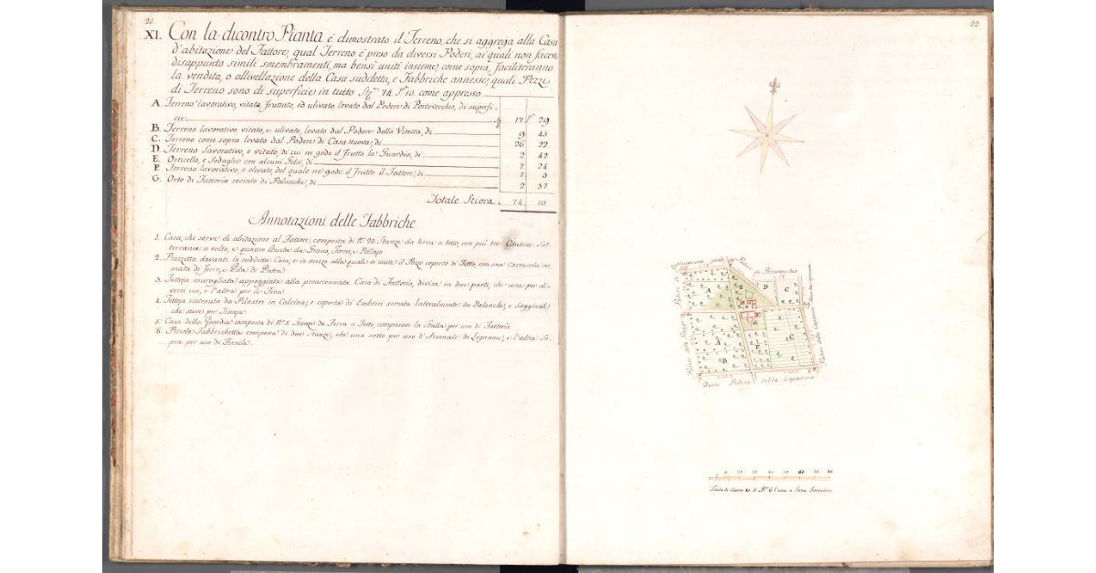 [Pianta del terreno di pertinenza della casa del fattore]