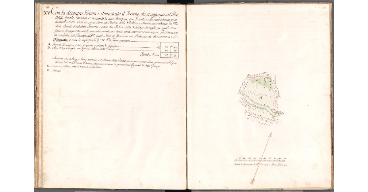 [Pianta del terreno annesso al granaio]