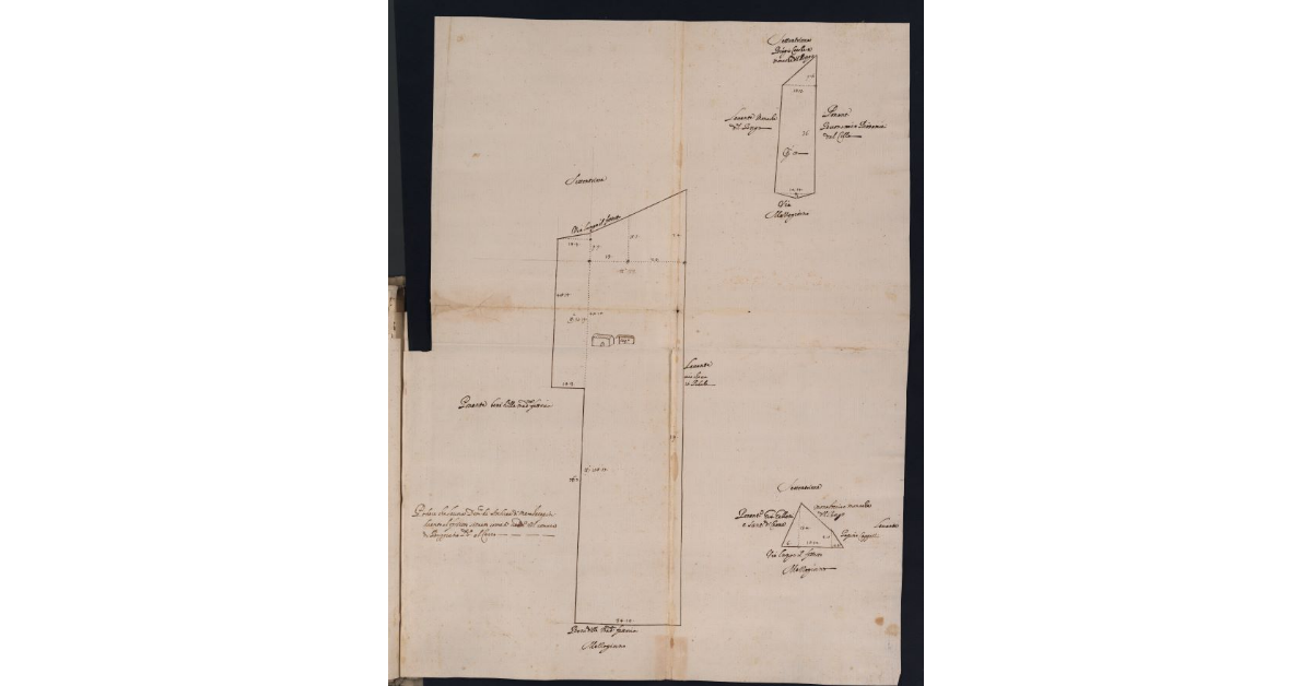[Podere concesso a livello nel comune di Buggiano]